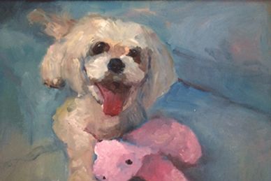 A happy dog with a pink stuffed toy on a blue background — Cocoa, son of Dijon out of Twinkle